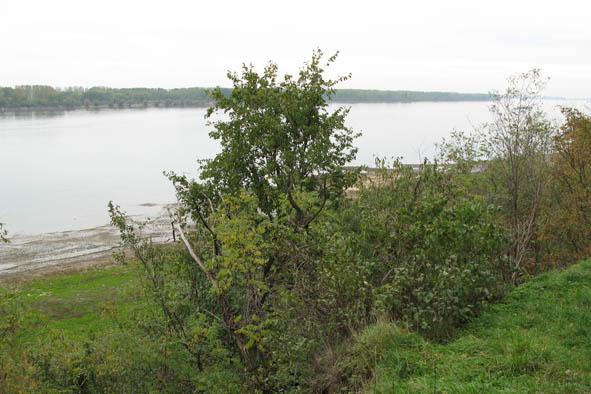 Tonava ylityskohdasssa